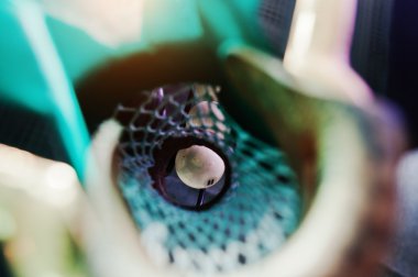 Havuz bilardo topu deliğe