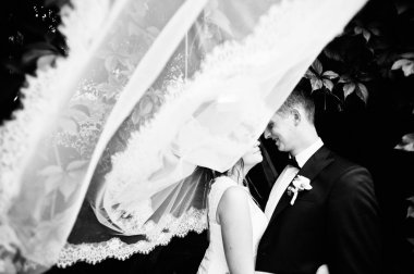 Düğün peçe altında çift portre kadar kapatın