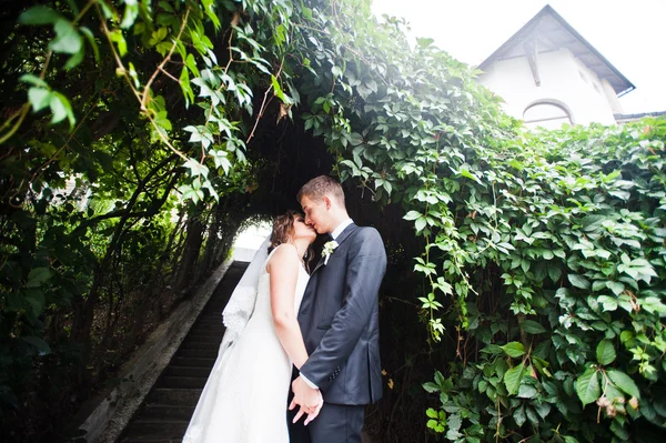Svatební pár pozadí oblouk zelených listů — Stock fotografie