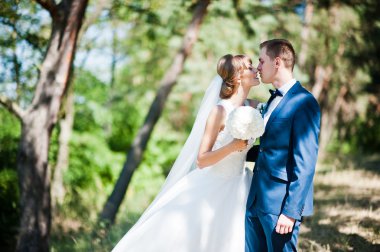 Güneşli bir gün, güzel düğün çift çam ahşap orman üzerinde