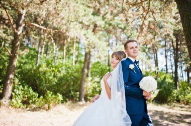 Güneşli bir gün, güzel düğün çift çam ahşap orman üzerinde