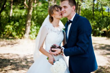 Güneşli bir gün, güzel düğün çift koni ile çam ahşap orman üzerinde