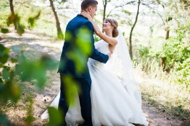 Güneşli bir gün, güzel düğün çift çam ahşap orman üzerinde