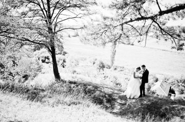 Orman arka plan panorama Çifte düğün