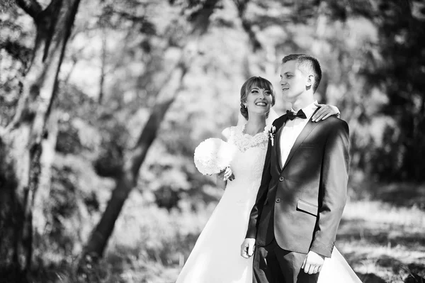 Vackra bröllop par på solig dag på trä tallskog — Stockfoto