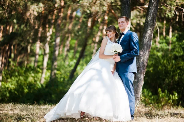 Vackra bröllop par på solig dag på trä tallskog — Stockfoto