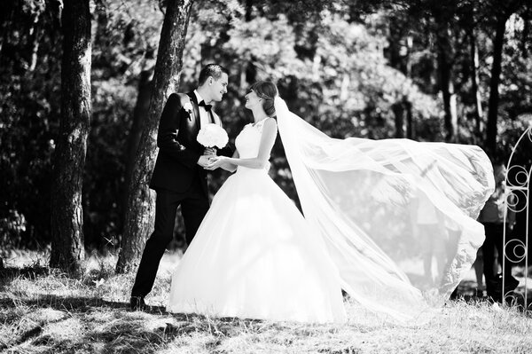 Lovely wedding couple at sunny day on pine wood forest