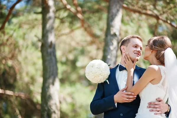 Beau couple de mariage à la journée ensoleillée sur la forêt de pins — Photo