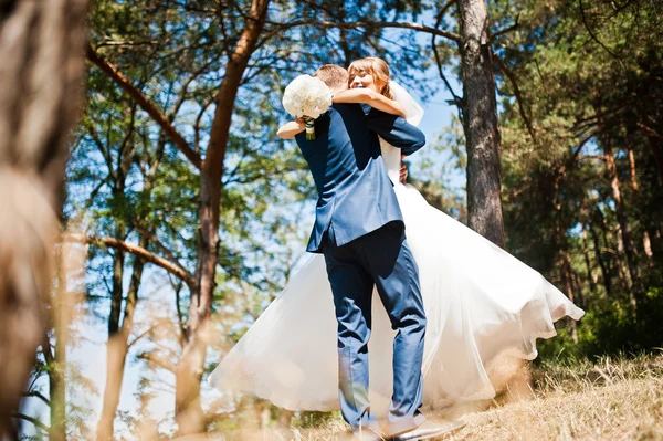 Lovely wedding couple at sunny day on pine wood forest — Stock Photo, Image