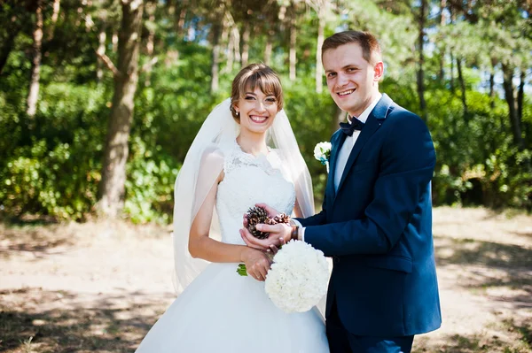 Lovely wedding couple at sunny day on pine wood forest with cone — Stock Photo, Image