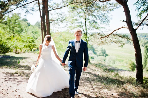 Прекрасная свадебная пара в солнечный день в сосновом лесу — стоковое фото