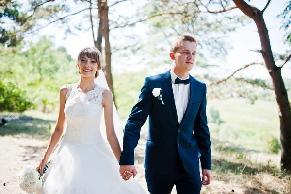 Vackra bröllop par på solig dag på trä tallskog — Stockfoto