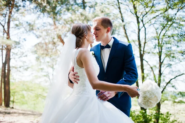 Güneşli bir gün, güzel düğün çift çam ahşap orman üzerinde