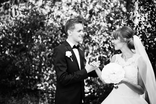 Casal encantador no dia ensolarado na floresta de madeira de pinho — Fotografia de Stock