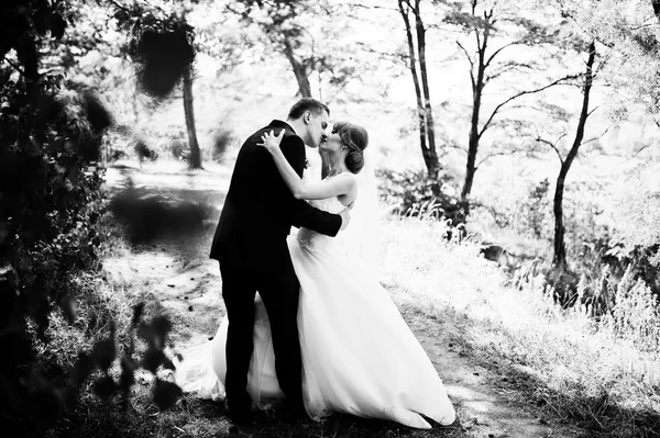 Casal encantador no dia ensolarado na floresta de madeira de pinho — Fotografia de Stock