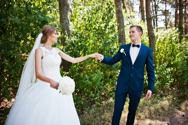 Vackra bröllop par på solig dag på trä tallskog — Stockfoto