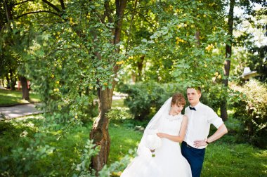 Ağaç ve çalı yakın park düğün çifte