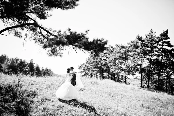 Casal encantador no dia ensolarado em madeira de pinho — Fotografia de Stock