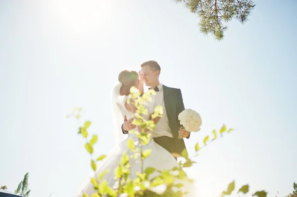 Schönes Hochzeitspaar an sonnigem Tag auf Kiefernholz — Stockfoto