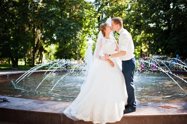 晴れた日の噴水近くの結婚式のカップル — ストック写真