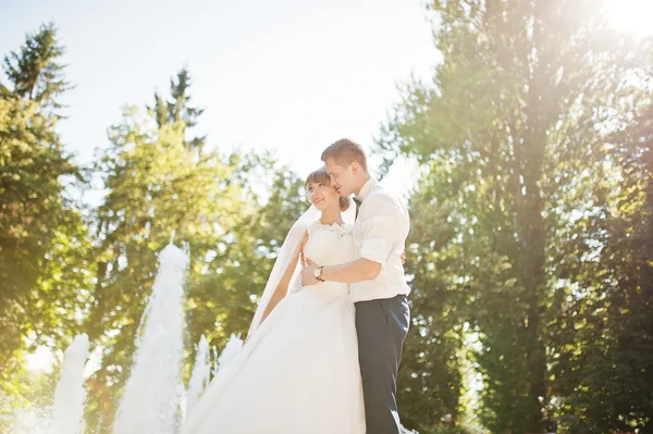 Svatební pár u fontány na slunečný den — Stock fotografie