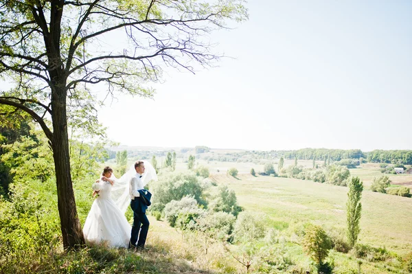 Boda pareja en bosque fondo panorama —  Fotos de Stock