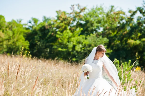 高いと乾燥耳でかわいい花嫁 — ストック写真