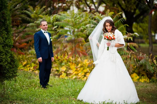 幸福新婚夫妇在爱在秋天的公园 — 图库照片