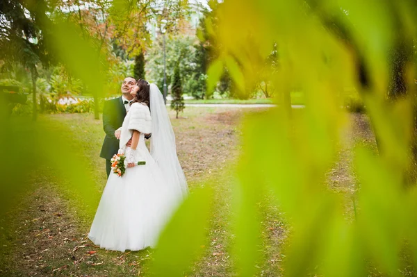 Feliz boda pareja enamorada en el parque de otoño — Foto de Stock