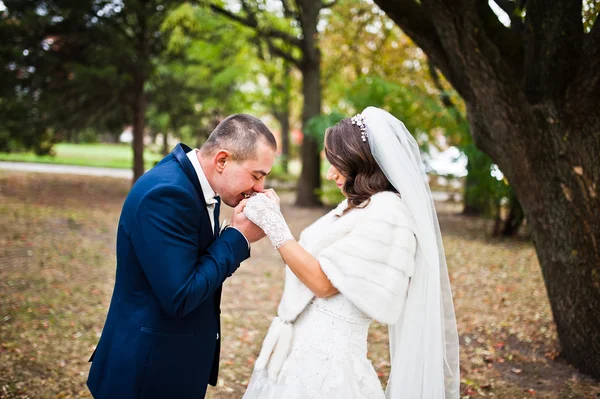 Primer plano retrato de besar boda pareja, novio beso manos de — Foto de Stock