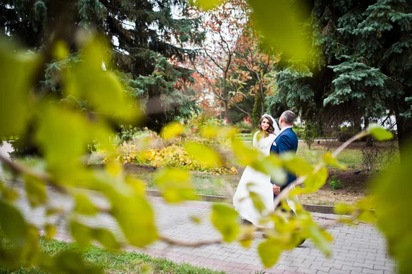 Счастливая свадьба влюбленных в осеннем парке — стоковое фото