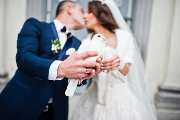 Kissing wedding couple with white pigeons in hands — Stock Photo, Image