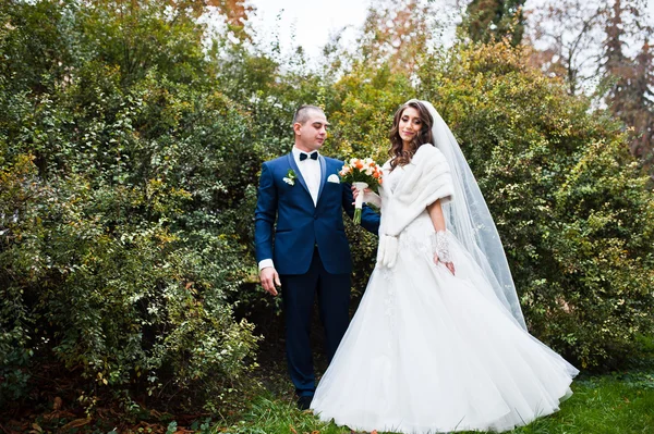 Casamento casal contra um fundo de arbustos verdes — Fotografia de Stock