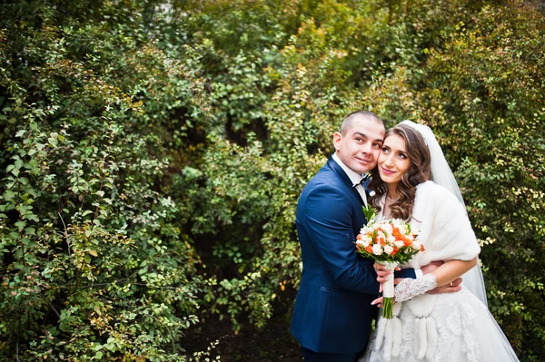 Casamento casal contra um fundo de arbustos verdes — Fotografia de Stock