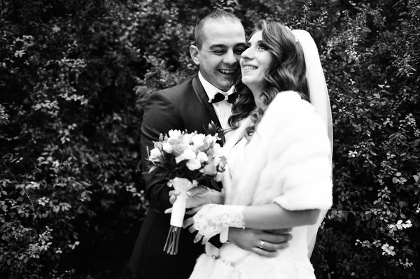 Wedding couple against a background of green bushes — Stock Photo, Image