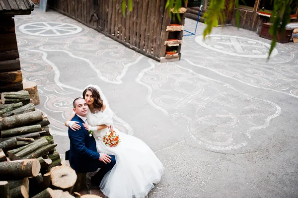 Wedding couple siitting background many stumps — Stock Photo, Image