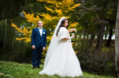 Evlilik çift sarı yaprakların sonbahar manzara arka plan