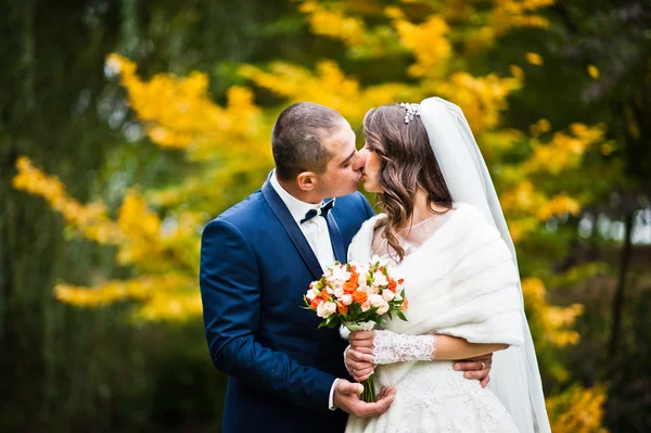 Hochzeitspaar Hintergrund Herbst Landschaft von gelben Blättern — Stockfoto