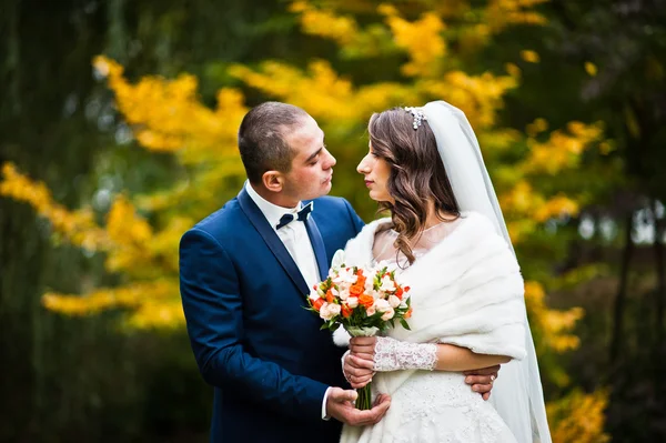 Casamento casal fundo outono paisagem de folhas amarelas — Fotografia de Stock