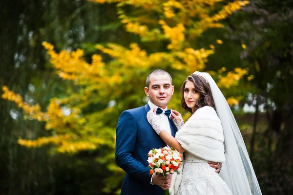 Mariage couple fond automne paysage de feuilles jaunes — Photo