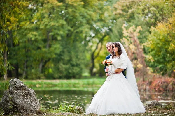 Para ślub tło jesień krajobraz żółte liście — Zdjęcie stockowe