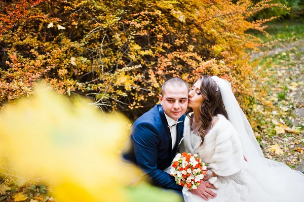 Wedding couple background autumn landscape of yellow leaves — Stock Photo, Image