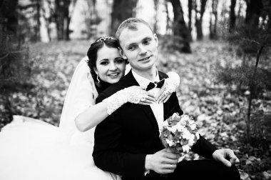 Sonbahar ormanı düştü ile oturan mutlu evlilik çift f bırakır