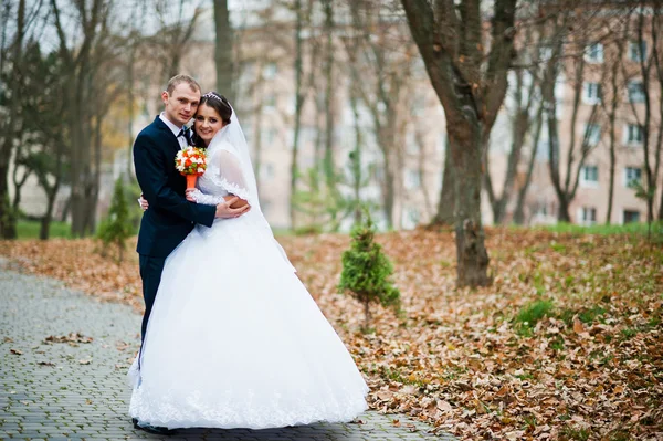 Happy wedding couple at autumn forest with fell leaves from the — Stock Photo, Image