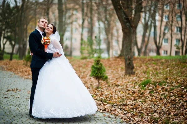 Happy wedding couple at autumn forest with fell leaves from the — Stock Photo, Image