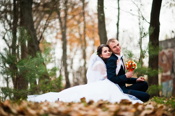 Happy wedding couple sitting at autumn forest with fell leaves f — Stock Photo, Image