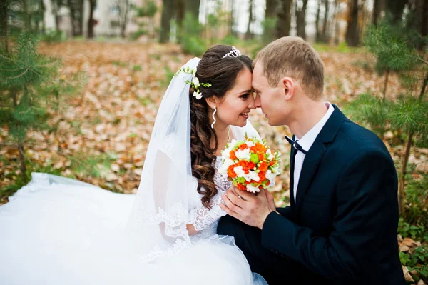 Feliz boda pareja sentado en el bosque de otoño con hojas caídas f — Foto de Stock