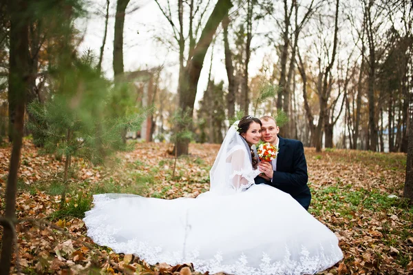 Lyckliga brudparet sitter på hösten skogen med föll lämnar f — Stockfoto