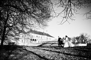 Büyüleyici ve şık Düğün çifti aşk arka plan eski v