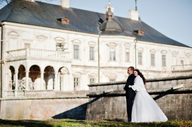 Büyüleyici ve şık Düğün çifti aşk arka plan eski v